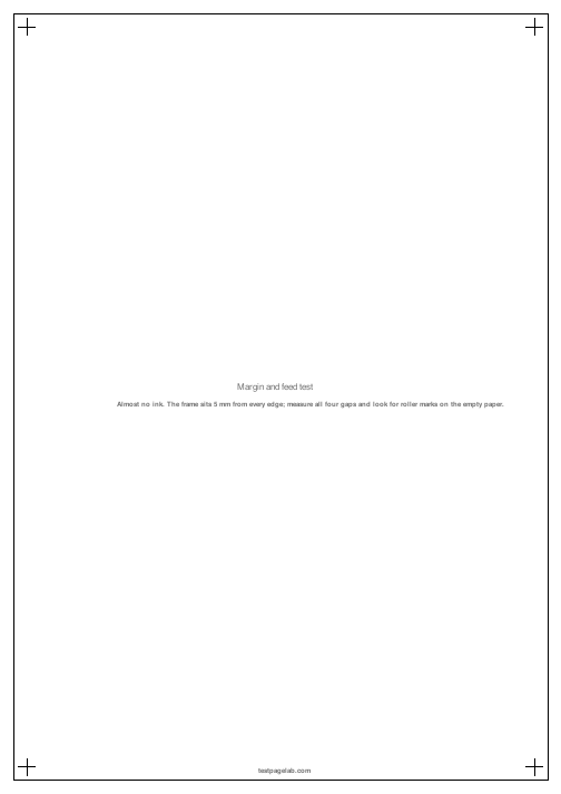 Preview of the blank margin and feed test page, a single frame 5 mm from every edge