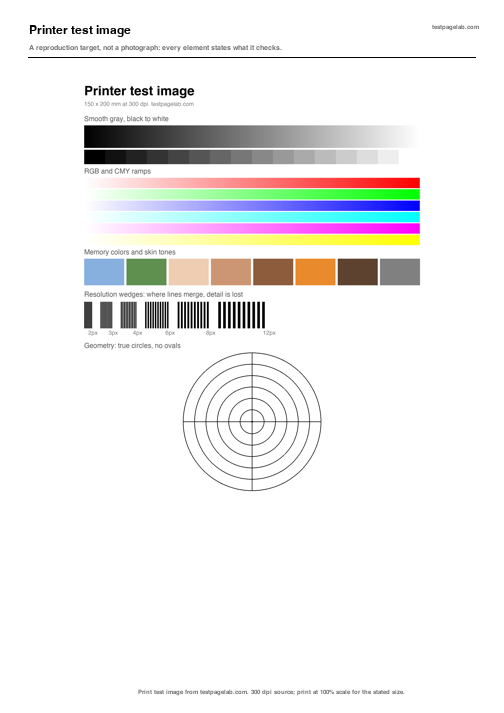 Preview of the printer test image, a reproduction target with gray ramps, color gradients, skin tones, resolution wedges and circles